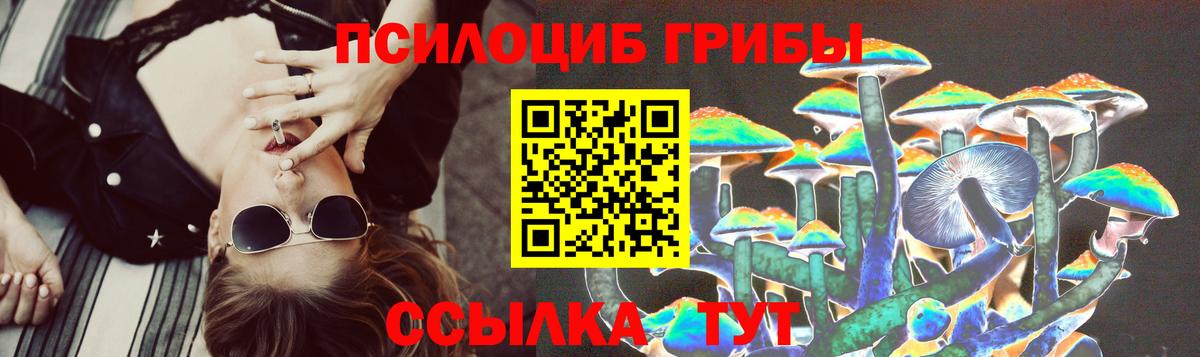 где купить   Галлюциногенные грибы мицелий  Вход с VPN  Вологда  Галлюциногенные грибы Psilocybine cubensis 